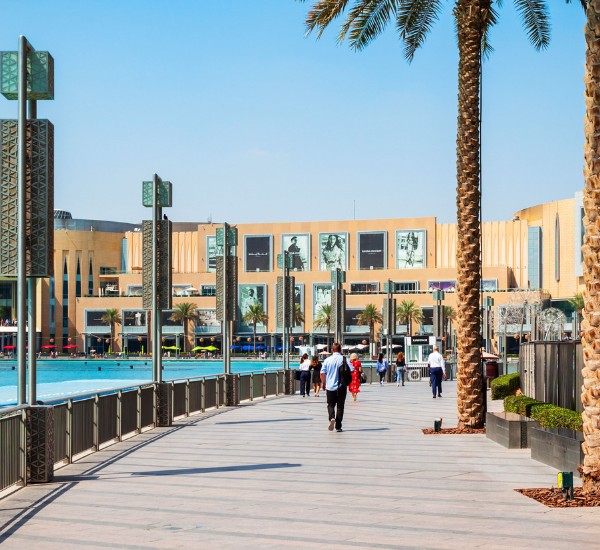 The Dubai Mall Sightseeing Experience 2